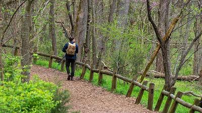 explore